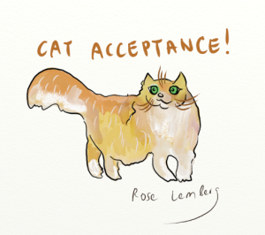 Cat acceptance!